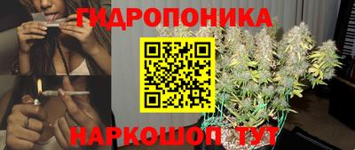 ешки Будённовск
