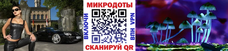 blacksprut онион  Майкоп  Галлюциногенные грибы мицелий 