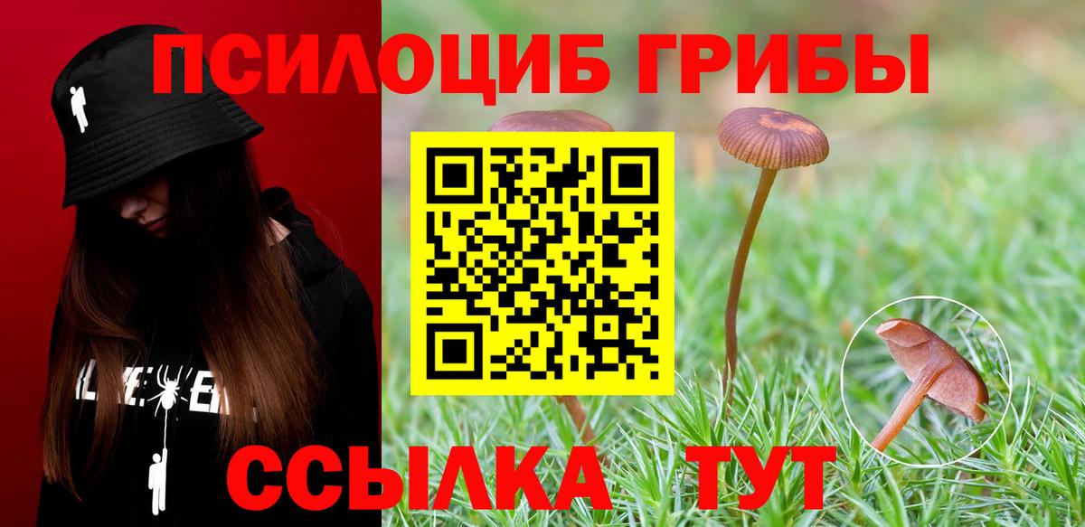 Галлюциногенные грибы прущие грибы  Галлюциногенные грибы ЛСД  Майкоп  Вход с VPN 