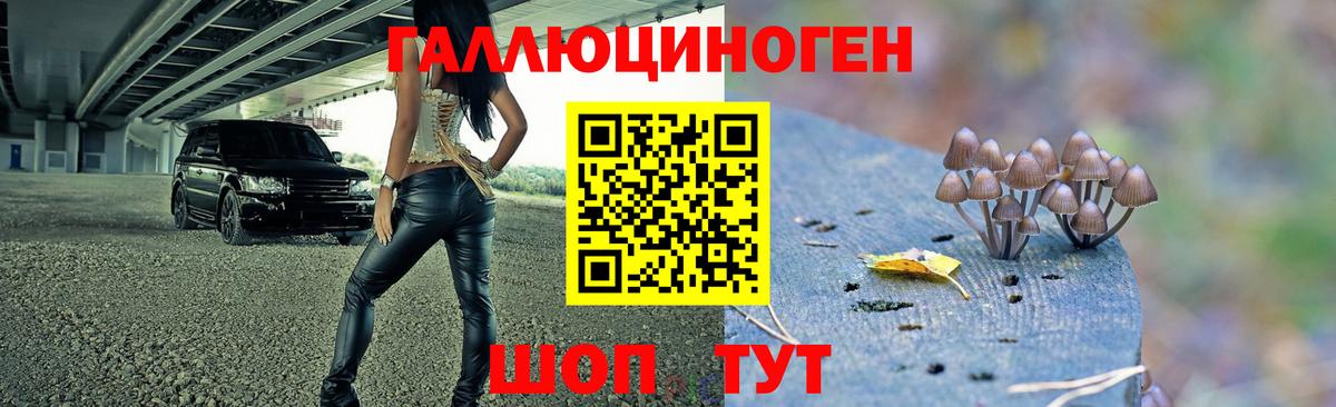 Галлюциногенные грибы Magic Shrooms Майкоп